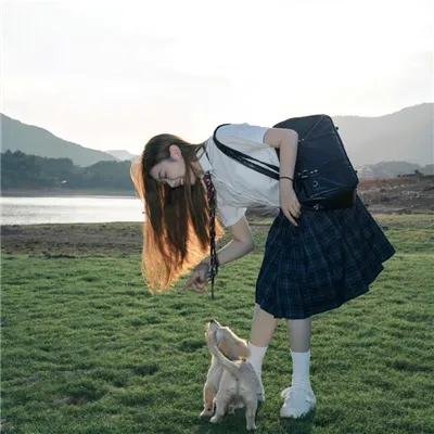 白狐